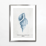 Obraz TROPICAL SHELLS I 50x70 cm