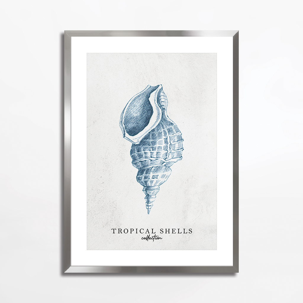 Obraz TROPICAL SHELLS I 50x70 cm