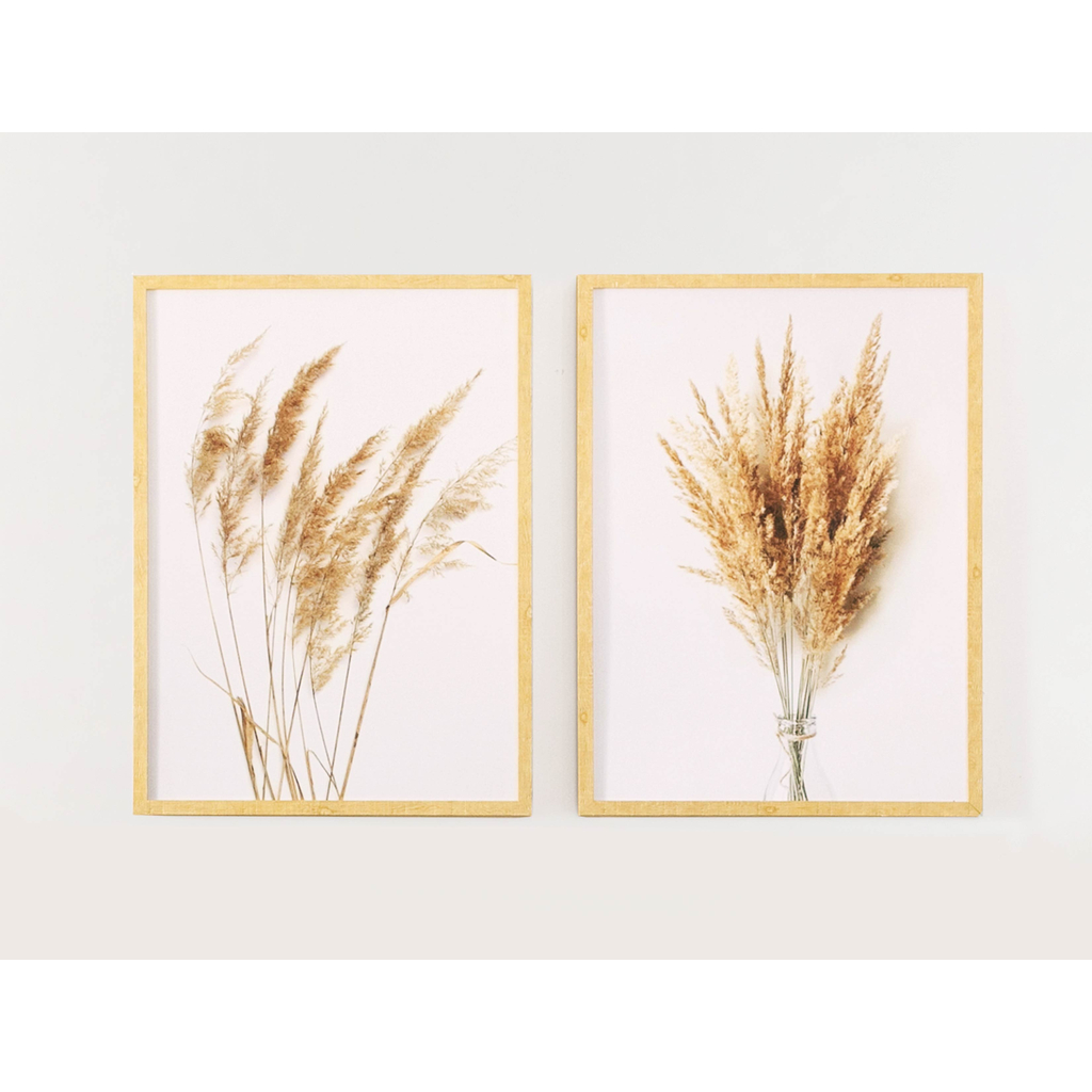 Obraz PAMPAS GRASS I 53x73 cm