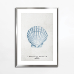 Obraz TROPICAL SHELLS II 50x70 cm