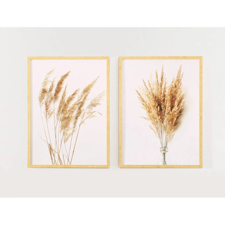 Obraz PAMPAS GRASS I 53x73 cm