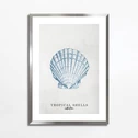 Obraz TROPICAL SHELLS II 50x70 cm