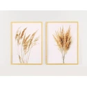 Obraz PAMPAS GRASS I 53x73 cm