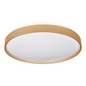 Stropní LED svítidlo/plafón kulaté ORO-NUBE 18W zlaté