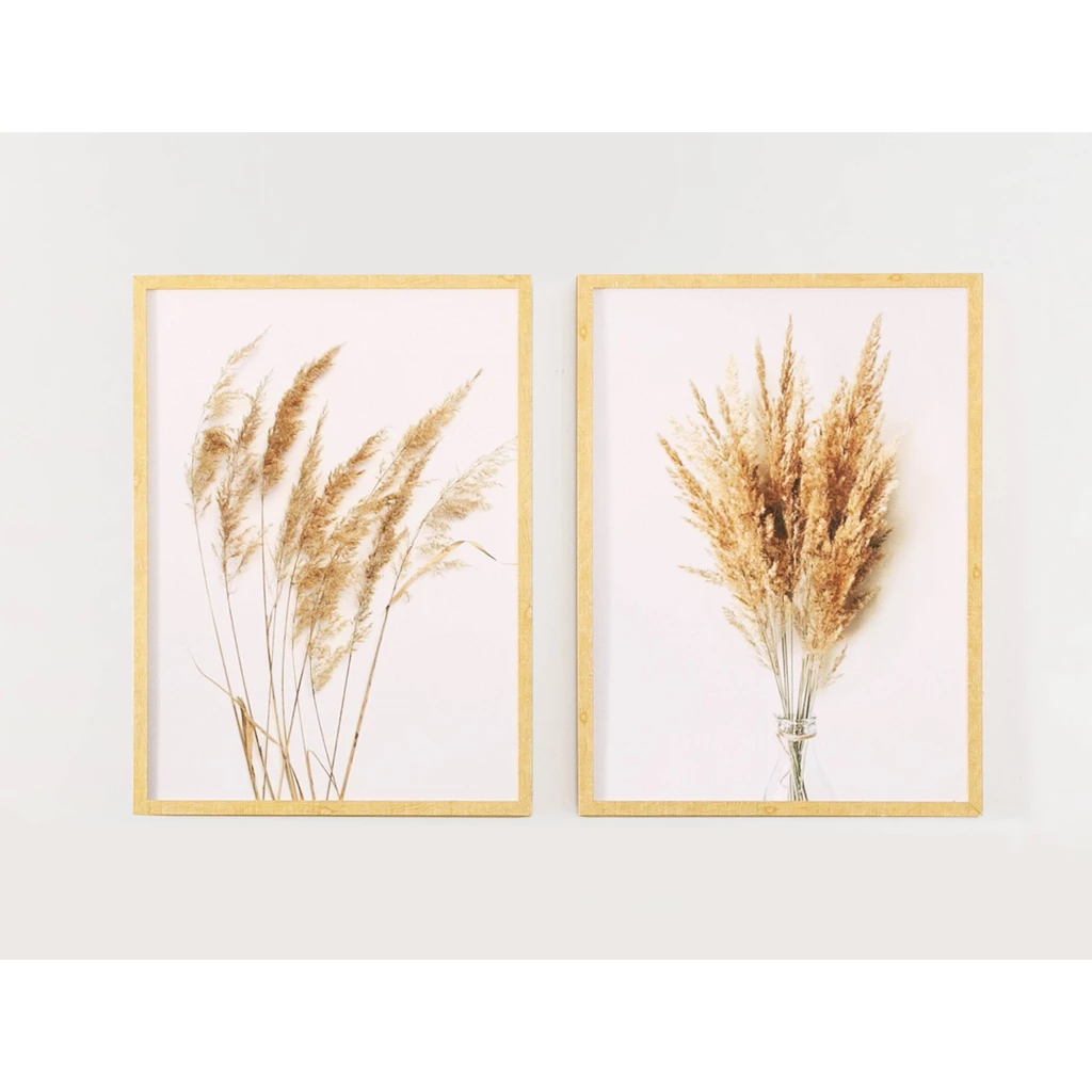 Obraz PAMPAS GRASS I 53x73 cm