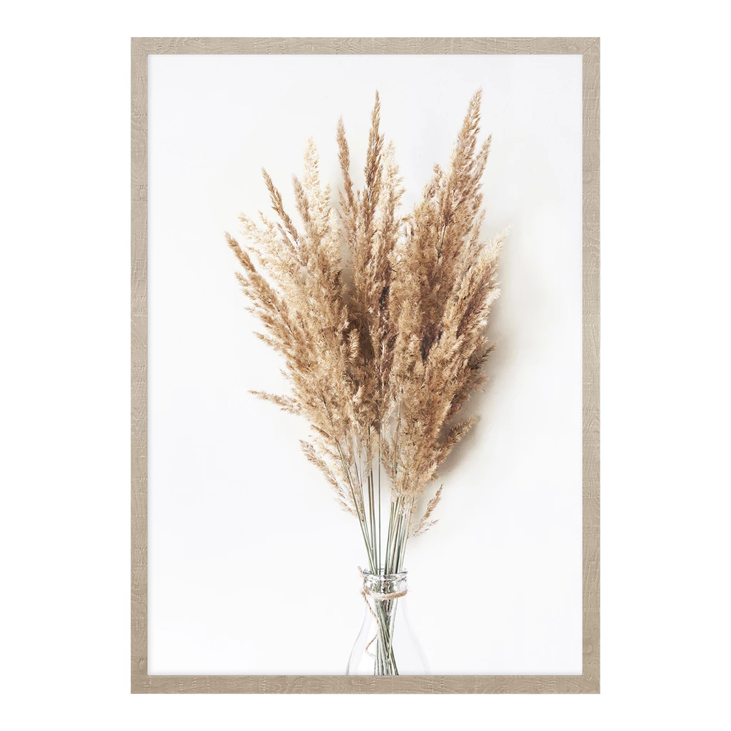 Obraz PAMPAS GRASS II 53x73 cm