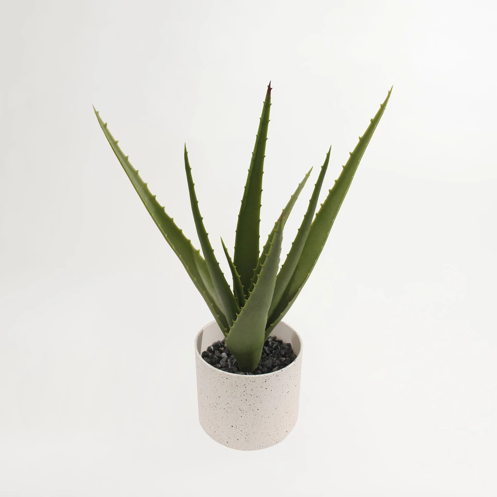 Sztuczny aloes w białej doniczce