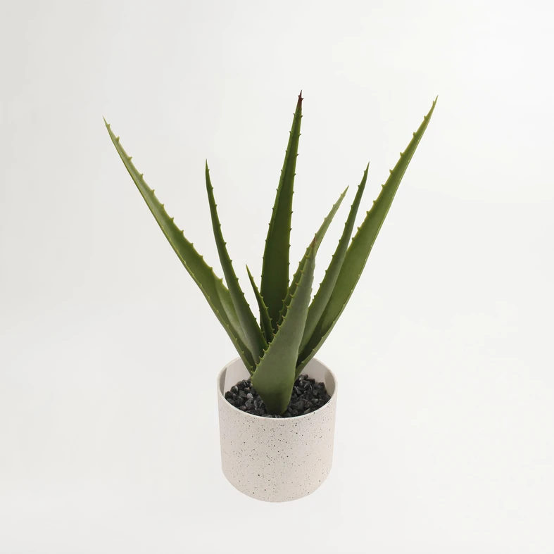 Sztuczny aloes w białej doniczce